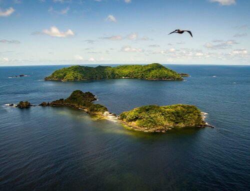 Repatriation to or from Trinidad and Tobago: The Process Explained
